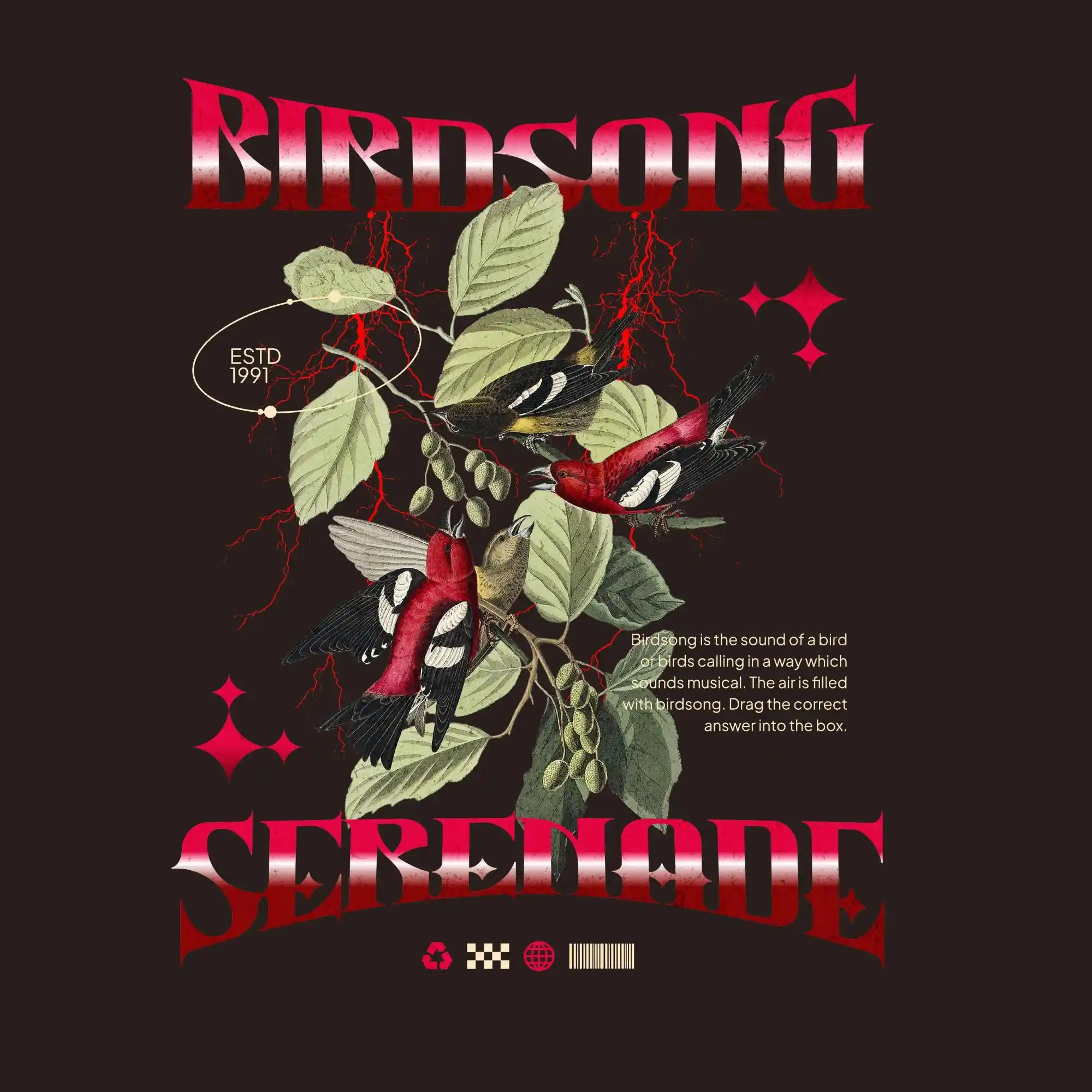 Streetwear 969